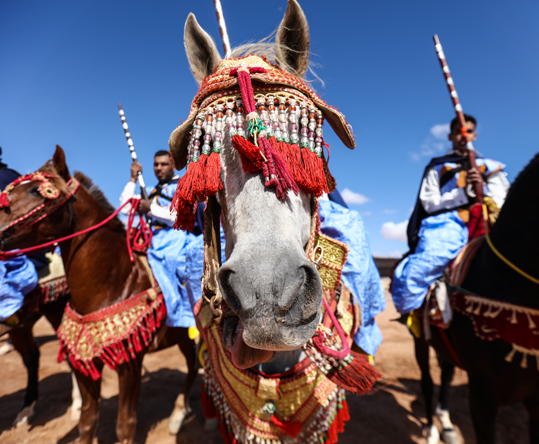 Tan Tan - Morocco
